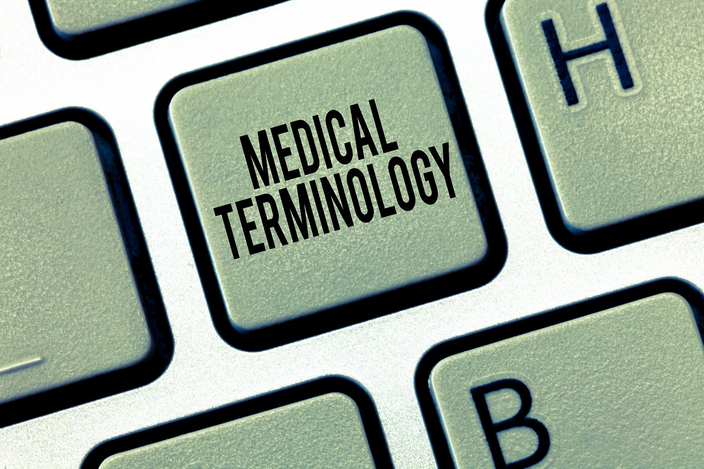 Medical terminology knowledge 2.jpg